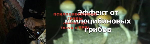 ПСИЛОЦИБИНОВЫЕ ГРИБЫ Покровск