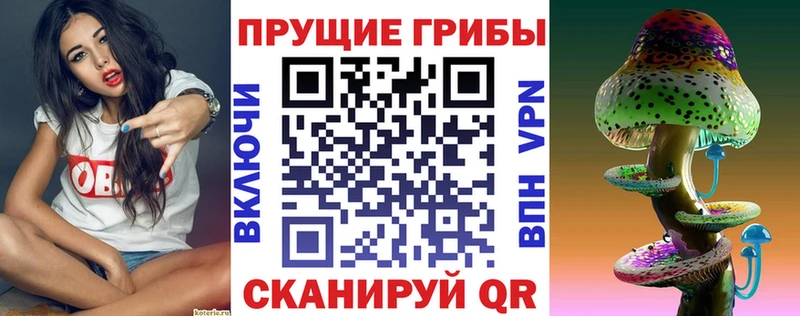 гидра сайт  Дубна  Псилоцибиновые грибы Psilocybe 
